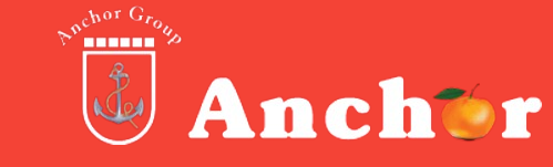 logo-removebg-preview