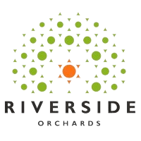 picture-removebg-preview